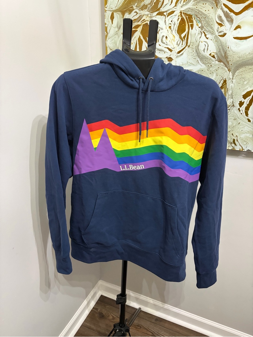 L.L. Bean Men's Pride Mountain Rainbow Stripe Hoodie Sweatshirt - Size Medium